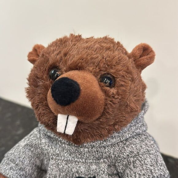 Roots Canada Beaver Stuffie Wearing Gray Hoodie 9" Plush Toy  Stuffed An… - Picture 2 of 7